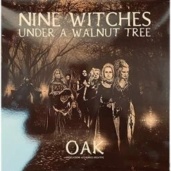Brand new 👏 O.A.K. - Nine Witches Under A Walnut Tree Vinyl | Rock Vinyl LPs 🛒