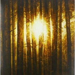 Deals 🤩 In Mourning - Echoes Vinyl | Metal Vinyl LPs 🔥