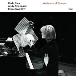 Deals 🛒 Andy Sheppard, Steve Swallow Carla Bley - Andando El Tiempo Vinyl | Jazz Vinyl LPs 😍