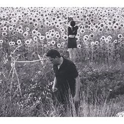 Brand new 🧨 Jesu/Sun Kil Moon - Jesu/Sun Kil Moon Vinyl | Folk Vinyl LPs 👍